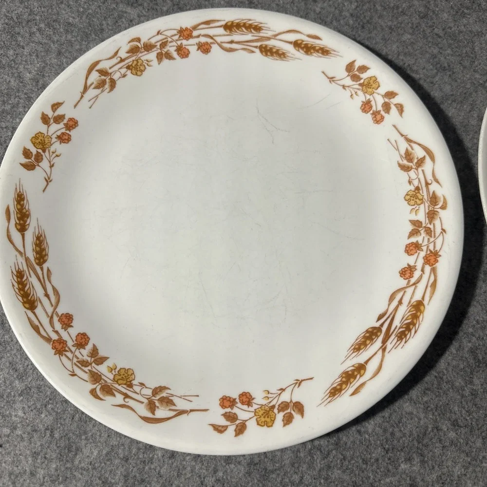 Vtg Corelle Harvest Home‎ Dinner Plate 10.25